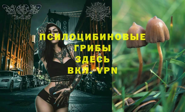 амф Сатка