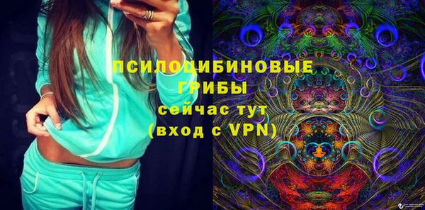 амф Алексеевка