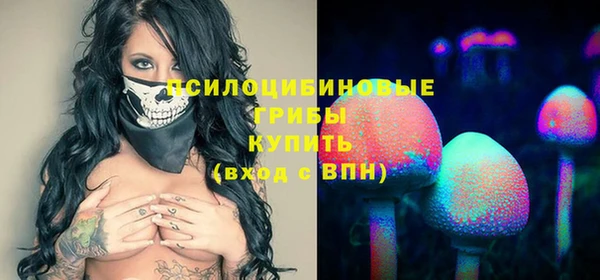 амф Алексеевка