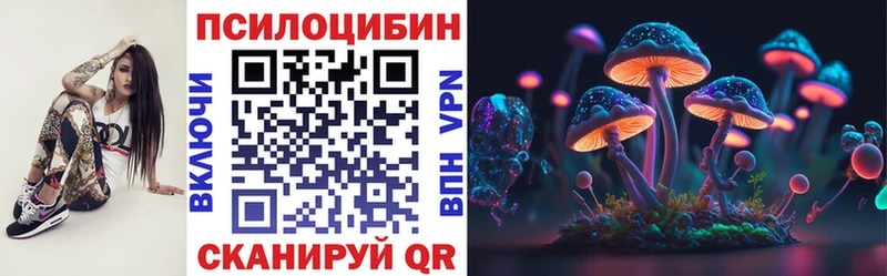 дарк нет Telegram  магазин  наркотиков  Белый  Псилоцибиновые грибы MAGIC MUSHROOMS 